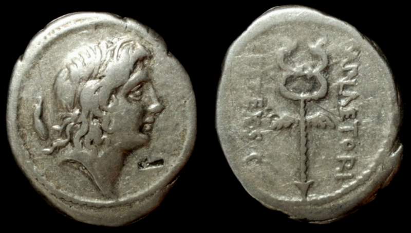 M. PLAETORIUS M.F. CESTIANUS 2.jpg