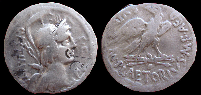 M. Plaetorius M.f. Cestianus.jpg