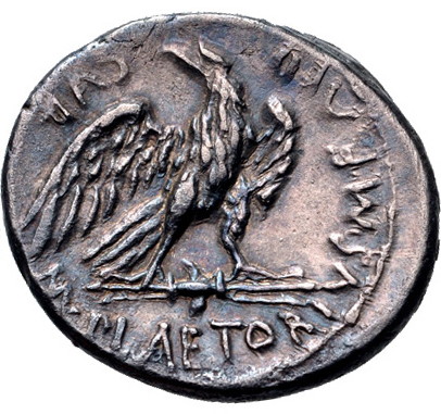 M Plaetorius Mf Cestianus b.jpg