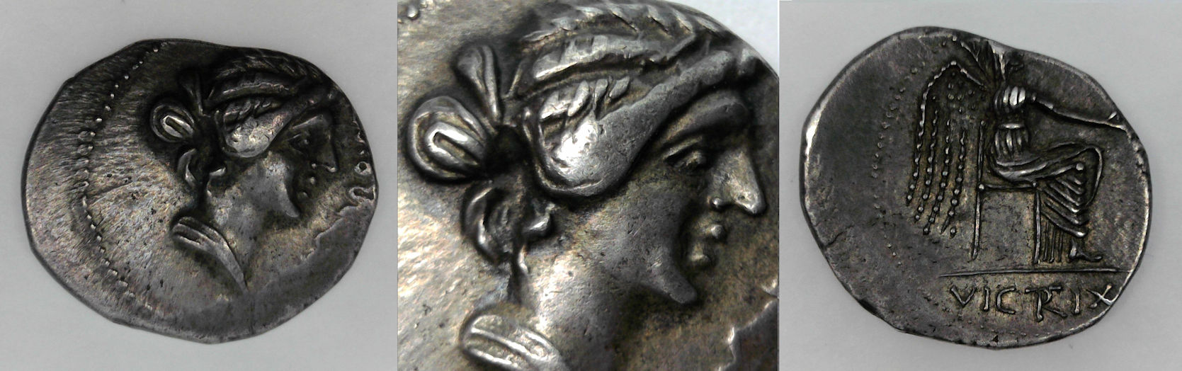 M Porcius Cato sm.jpg