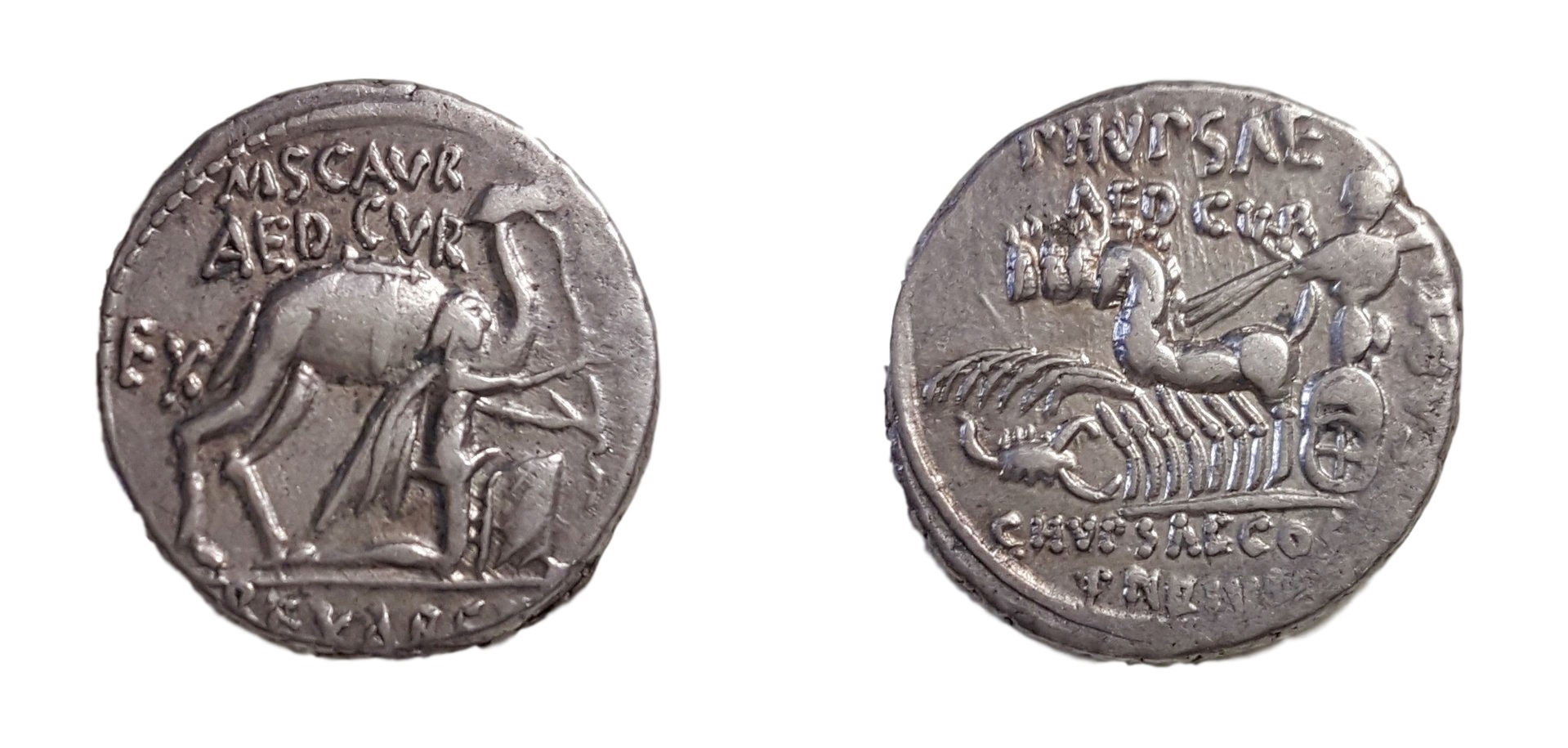 M. Scaurus Denarius (white).jpg