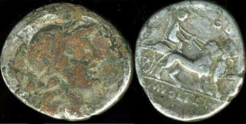 M VOLTEIUS M F.jpg