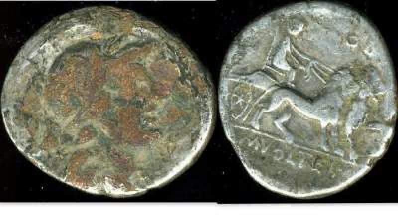 M VOLTEIUS M F.jpg