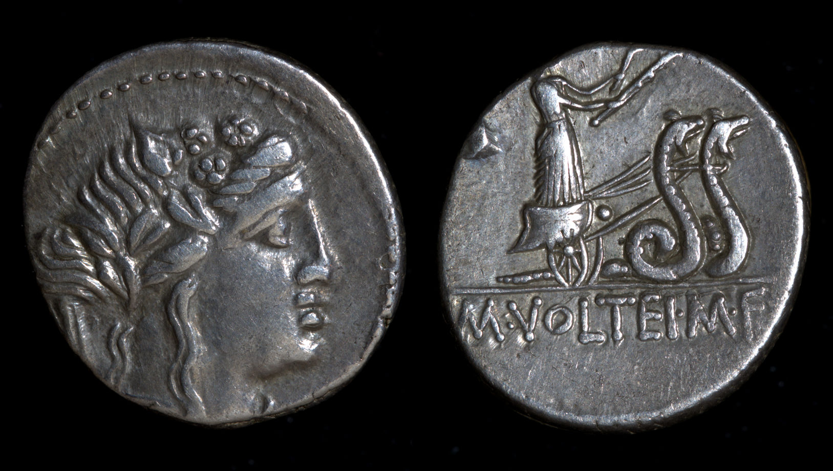 M Volteius Snake Biga.jpg
