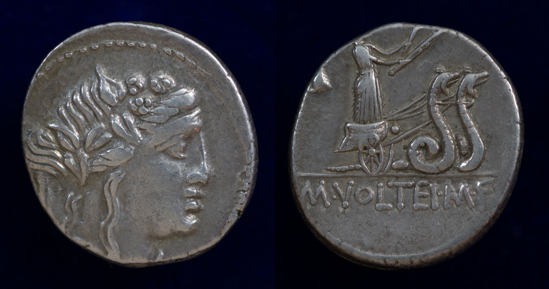 M Volteius Snake biga.jpg