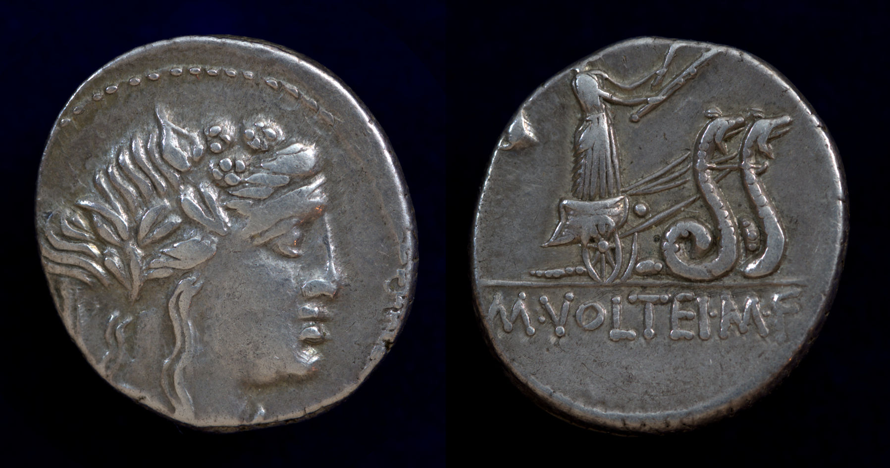 M Volteius Snake biga.jpg