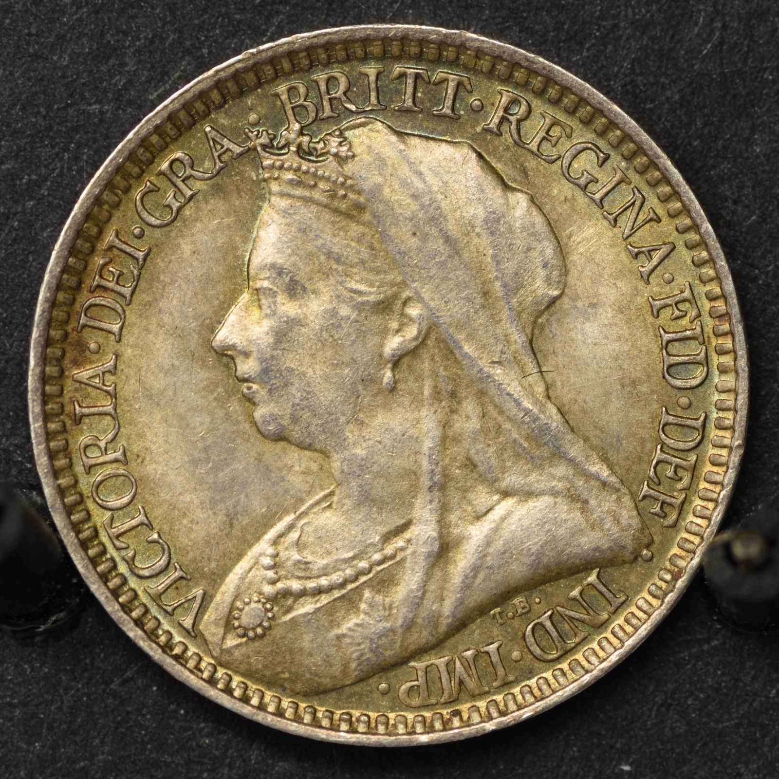M2P1895resize.jpg