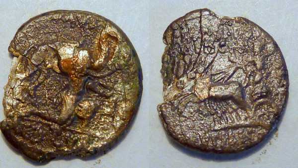 M_Aemilius 1_opt.jpg