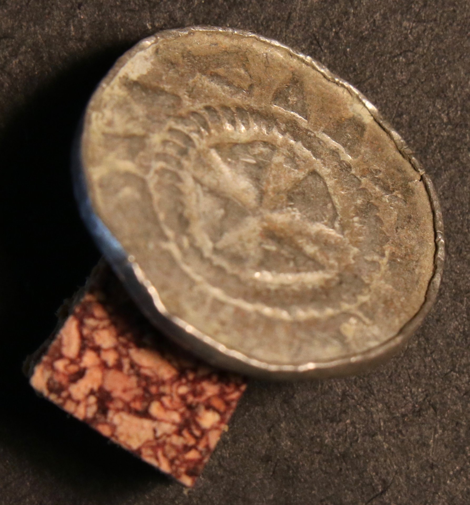 MA – Sachsenpfennig, Dannenberg 1338 Rand.jpg