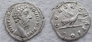 MA Coin.jpg