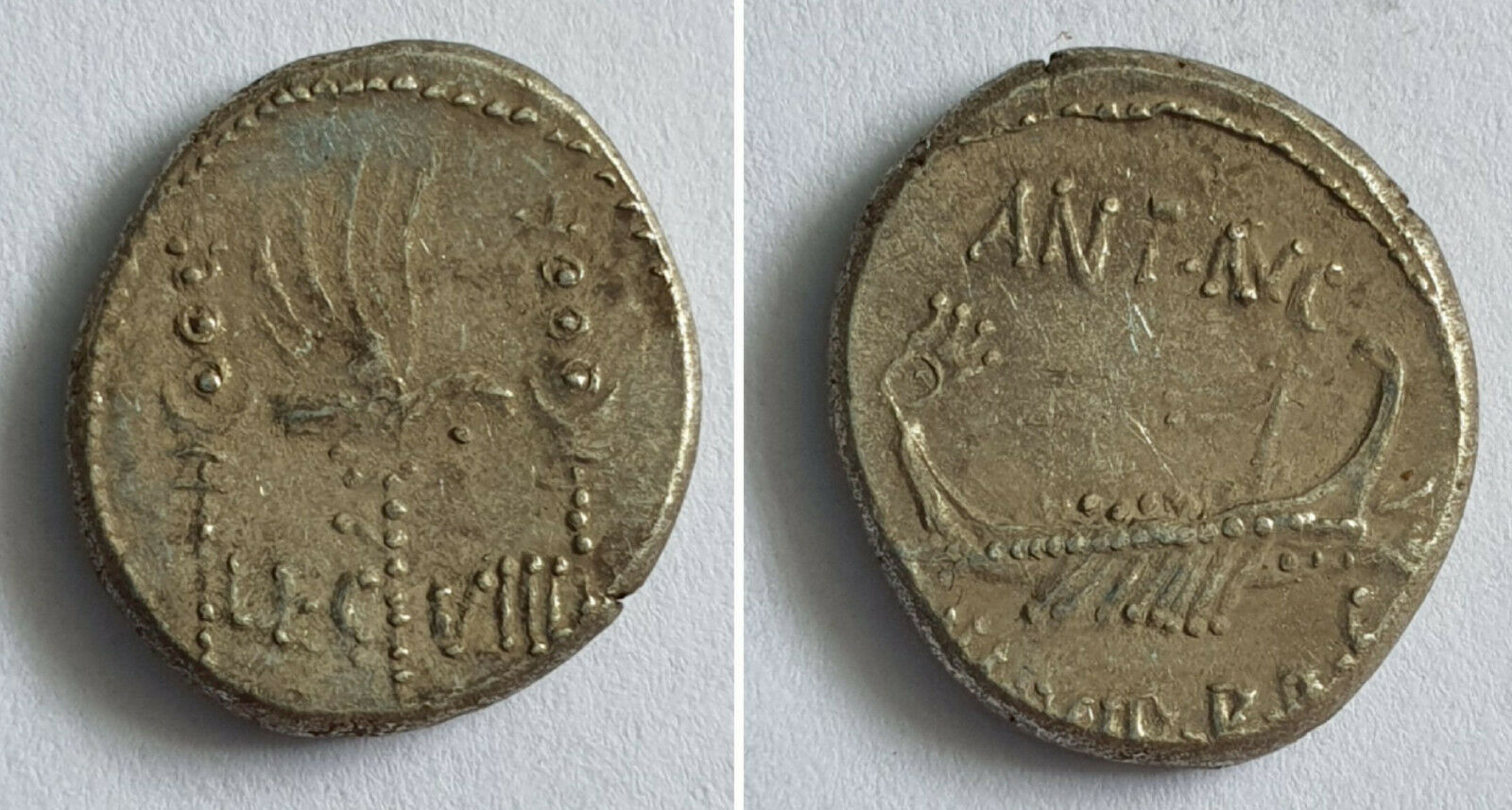 MA Leg VIII.jpg