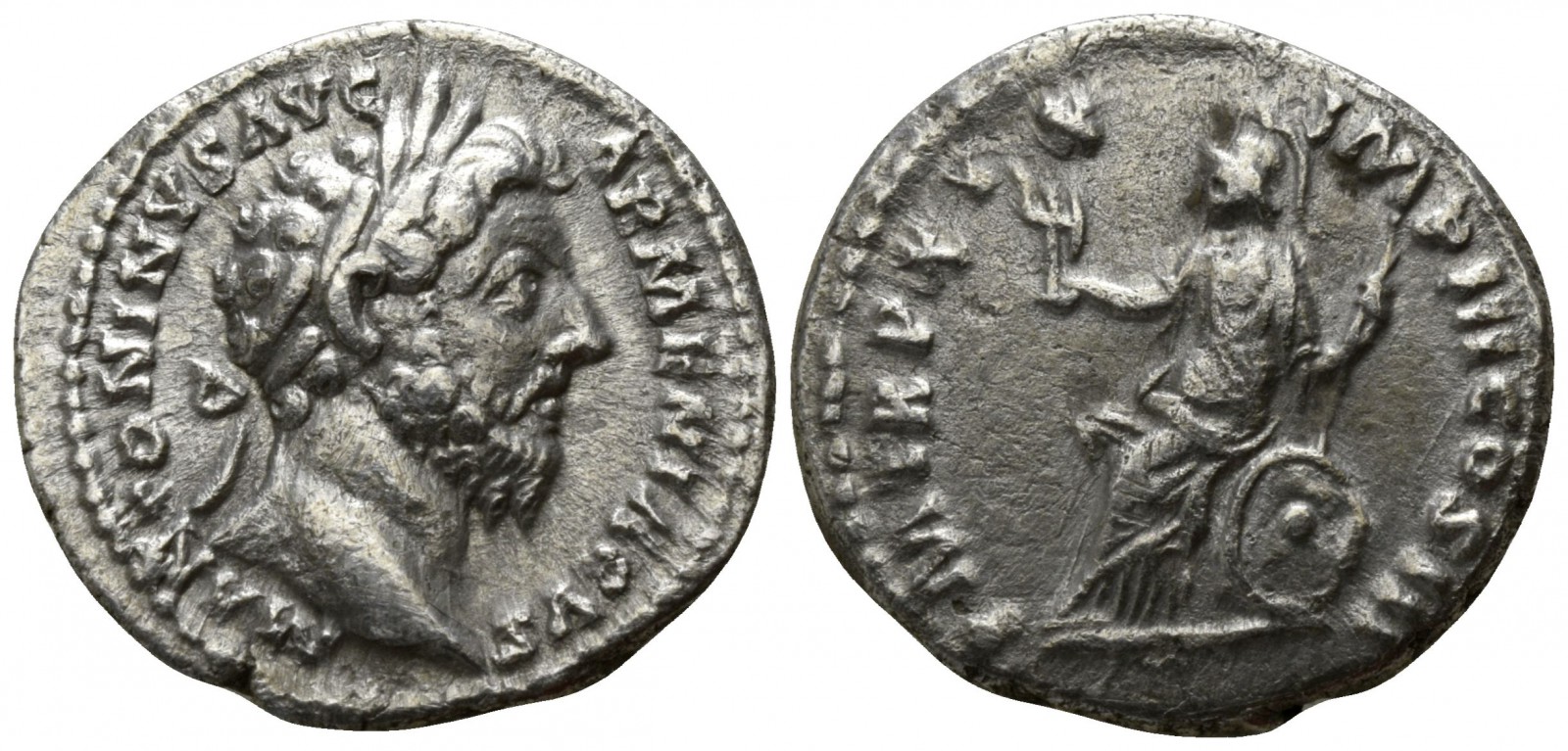 MA Palladium 1.jpg