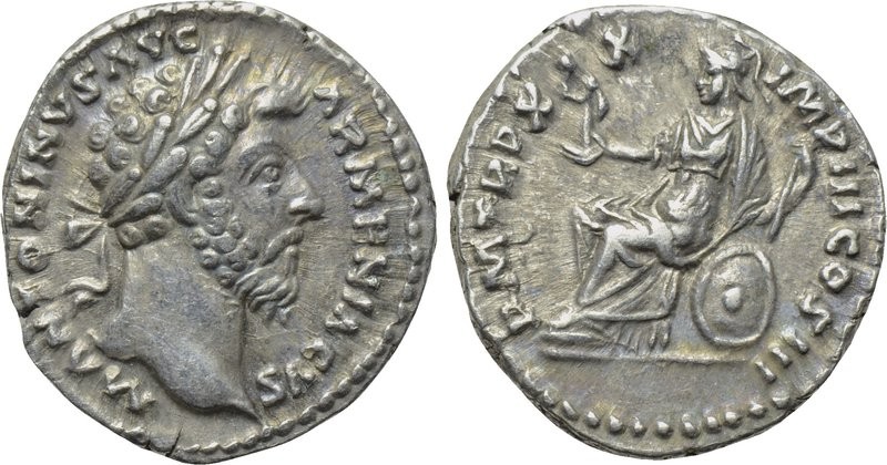 MA Palladium 2.jpg