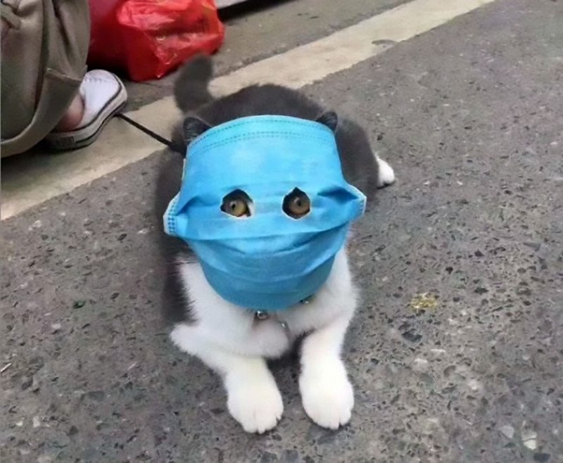 ma8ikhntodn6.jpg