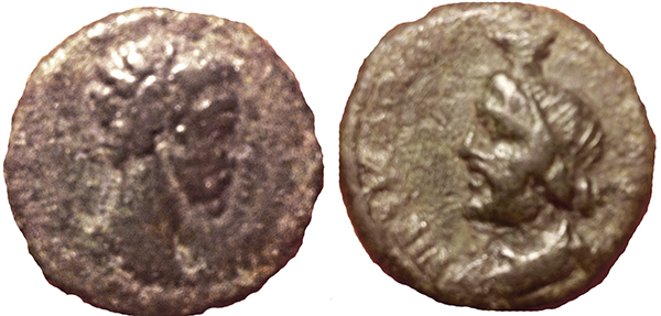 ma_serapis01.jpg