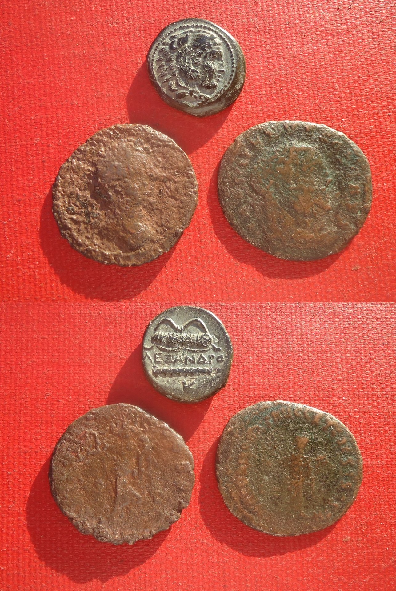 Macedon Alex AE AZ 2 rom. Jun 4 2020.jpg