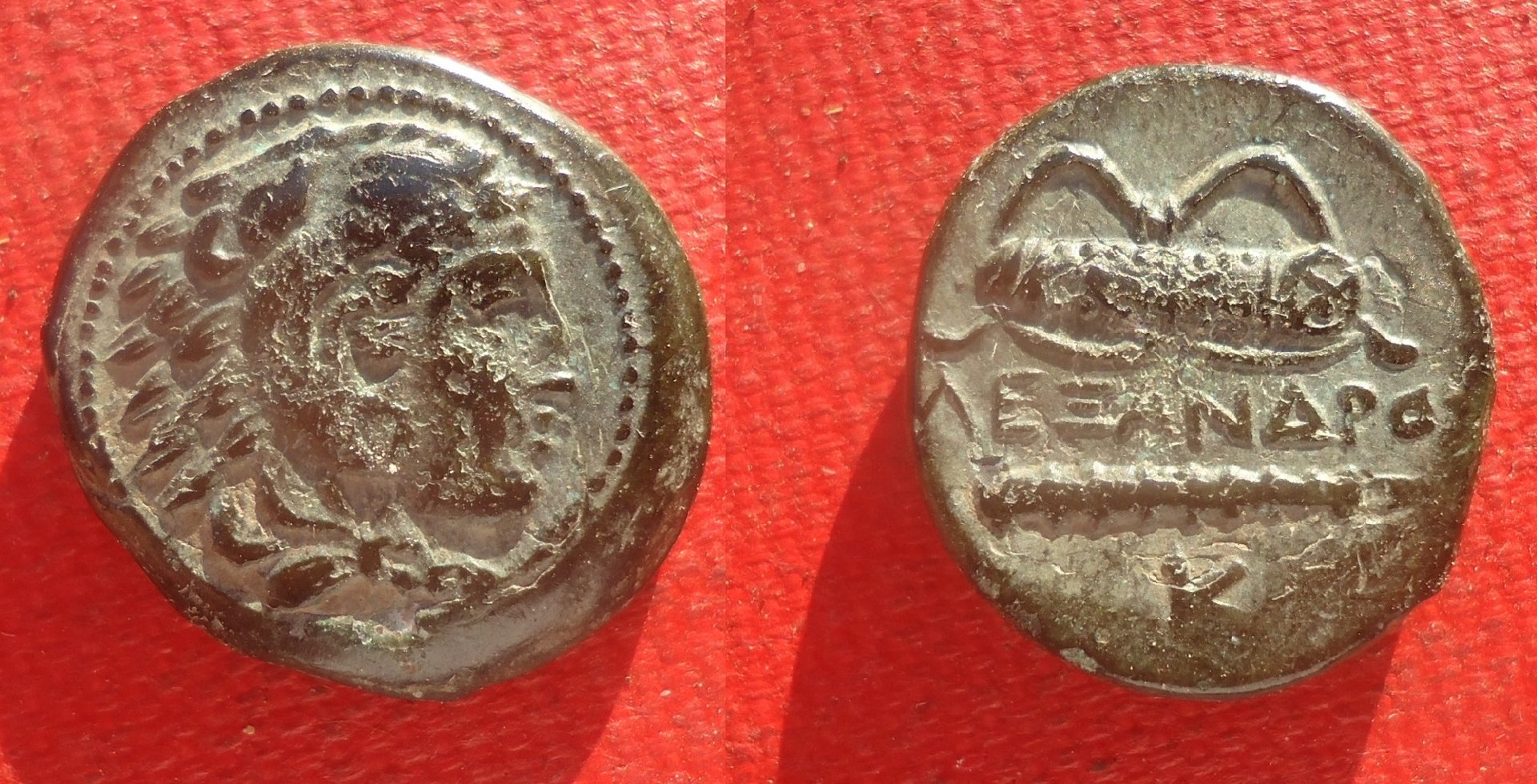 Macedon Alex AE AZ Jun 4 2020 (0a).jpg