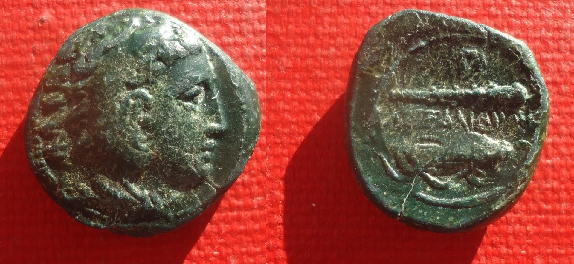 Macedon - Alexander AE bowcase club Feb 2020a (0).jpg