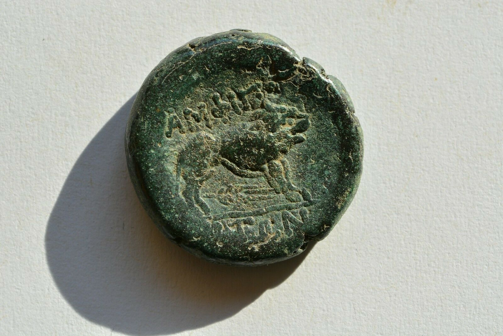 Macedon, Amphipolis - Lion reverse - eBay pic2.jpg