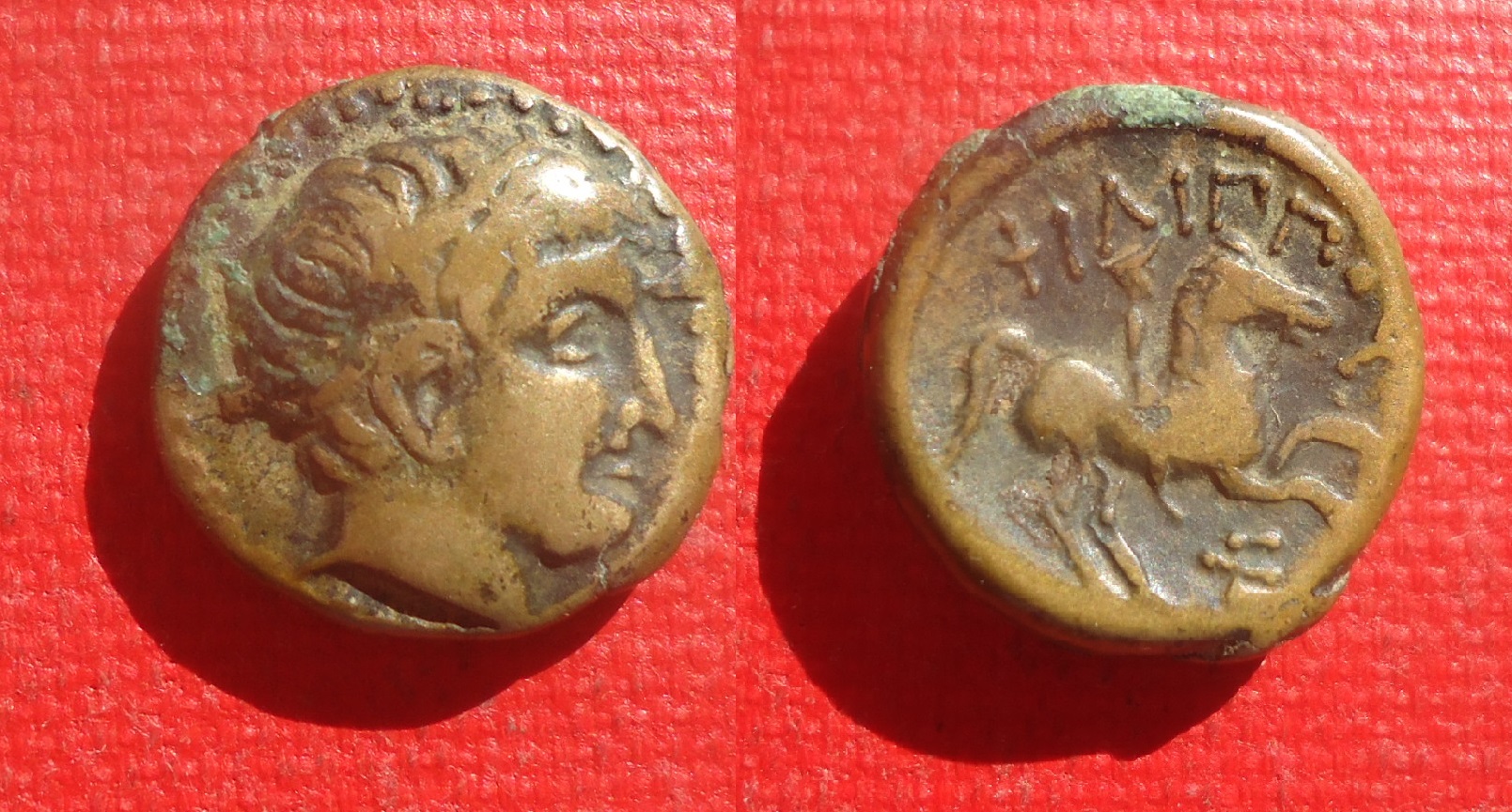 Macedon - Phiip II AE horesman May 2020 lot  (0).jpg