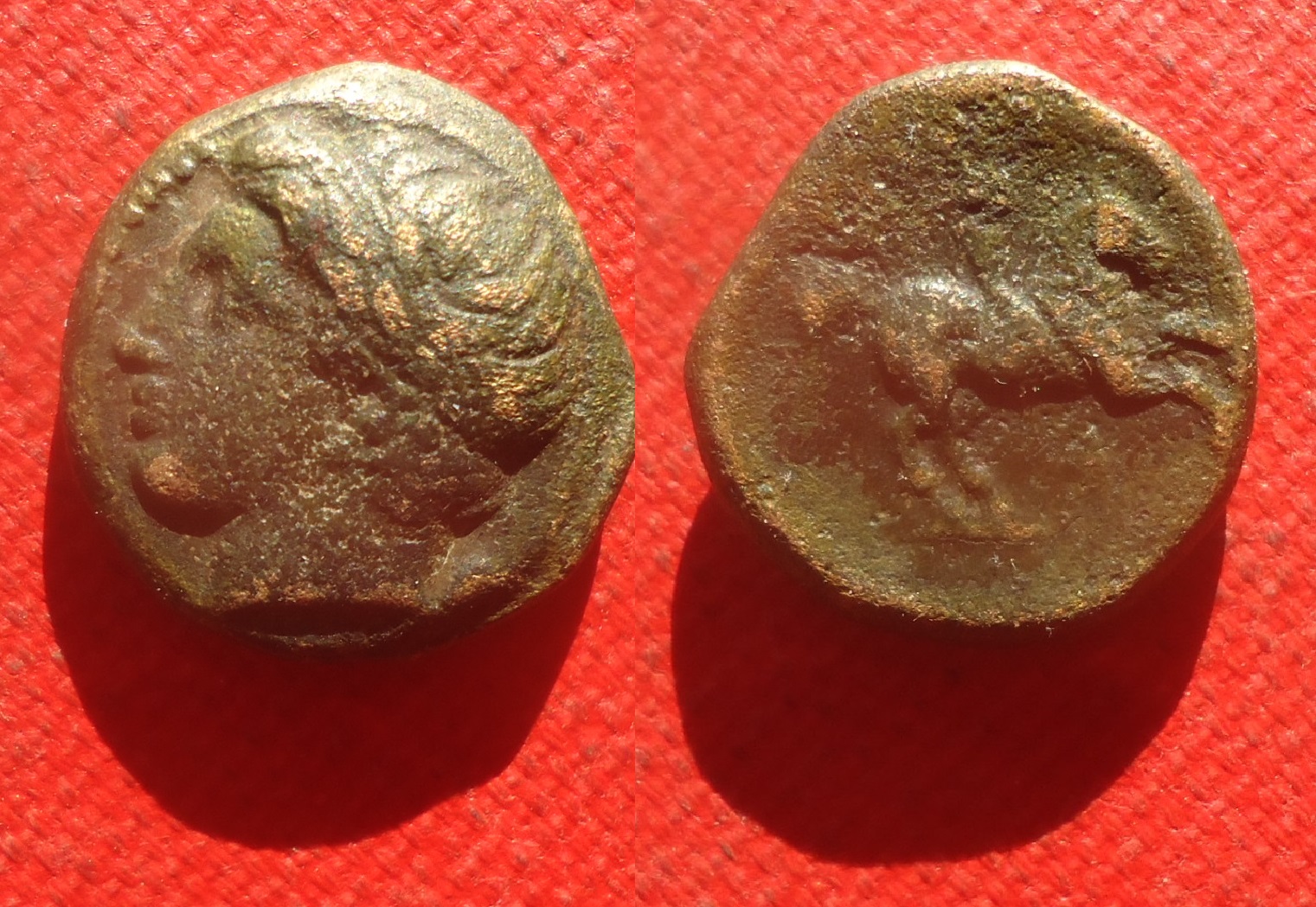 Macedon - Philip II Apollo horse lot May 2021 (0aa).jpg