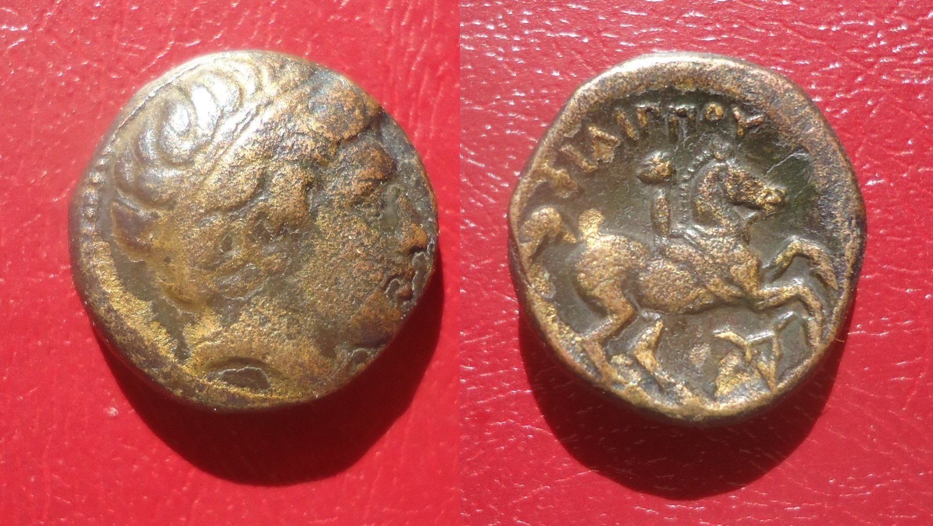 Macedon - Philip II horse bucran lot May 2020a (0b).jpg