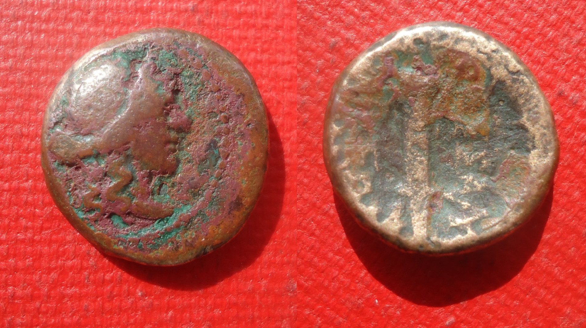 Macedon Thessalonica - AE Artemis Mar 2020 (0).jpg