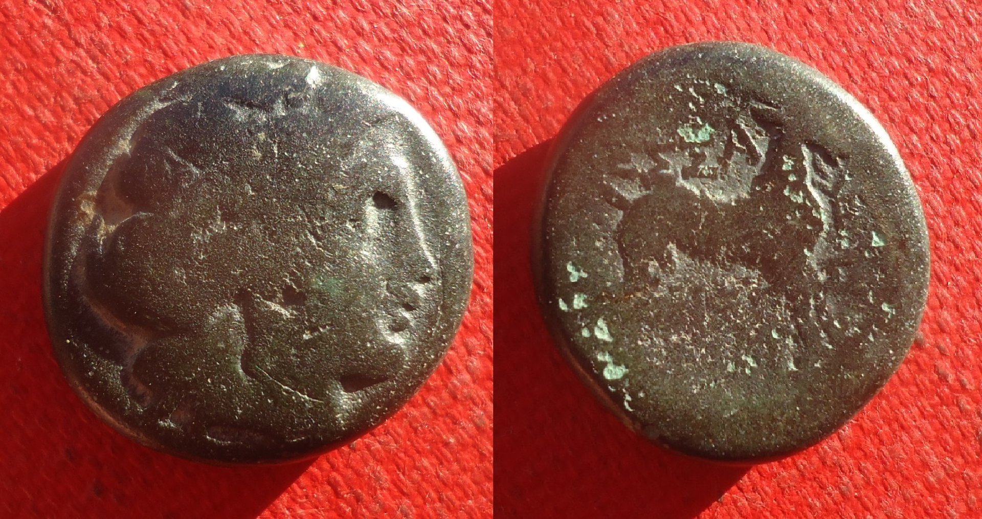 Macedon - Thessalonika goat AE NC Lot 2020 (0).jpg