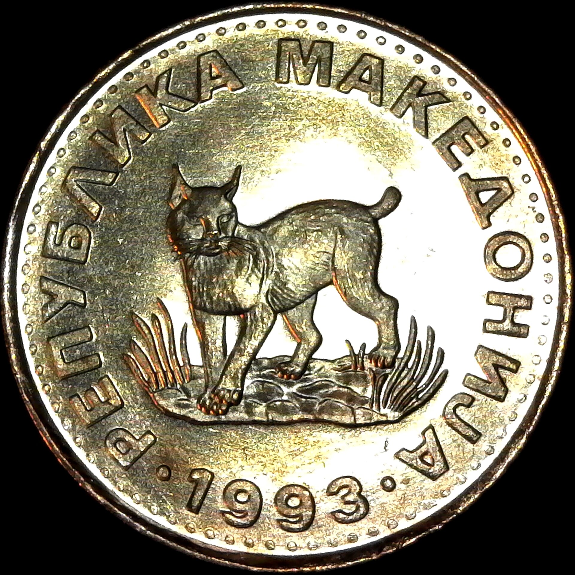 Macedonia 5 Denari 1993 obv.jpg