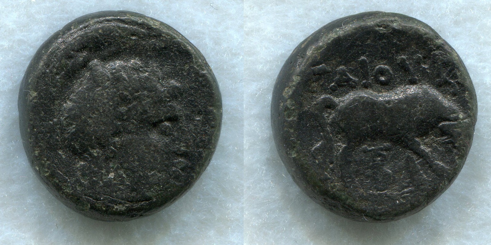 Macedonia - Rom. Prov. AE Jan 2019.jpg