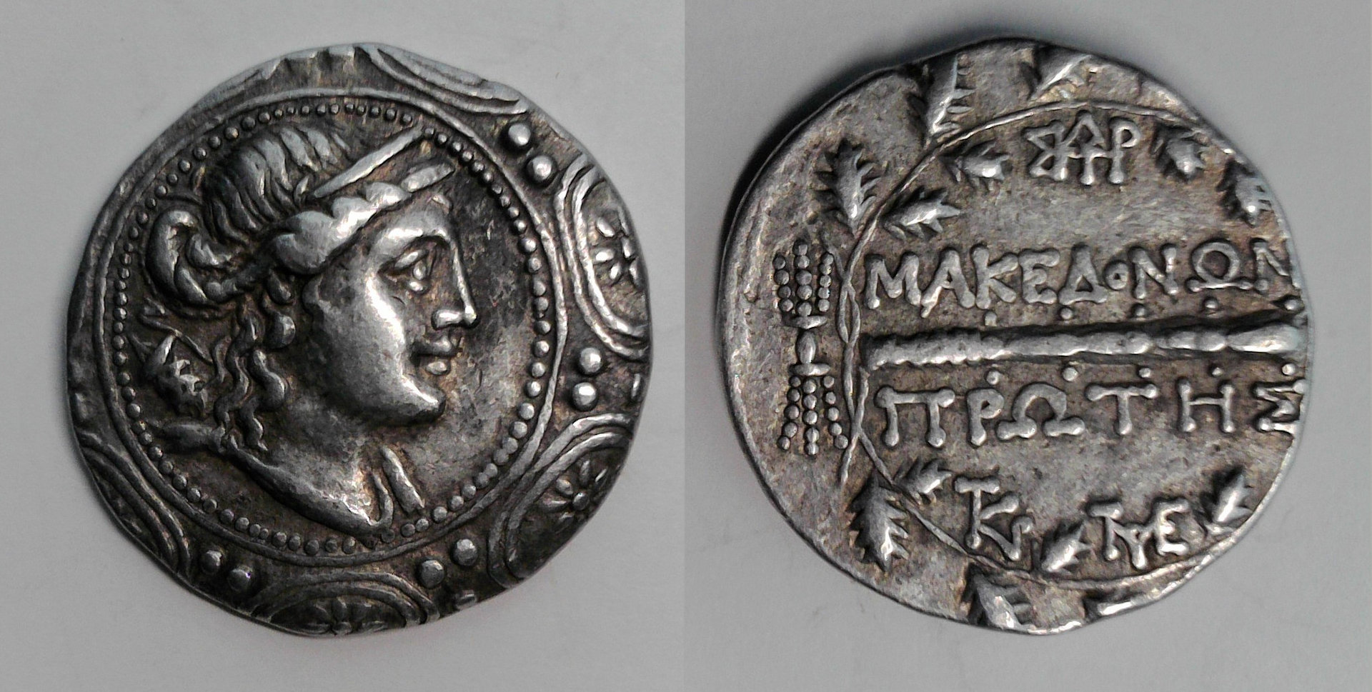 Macedonia Tetra.jpg