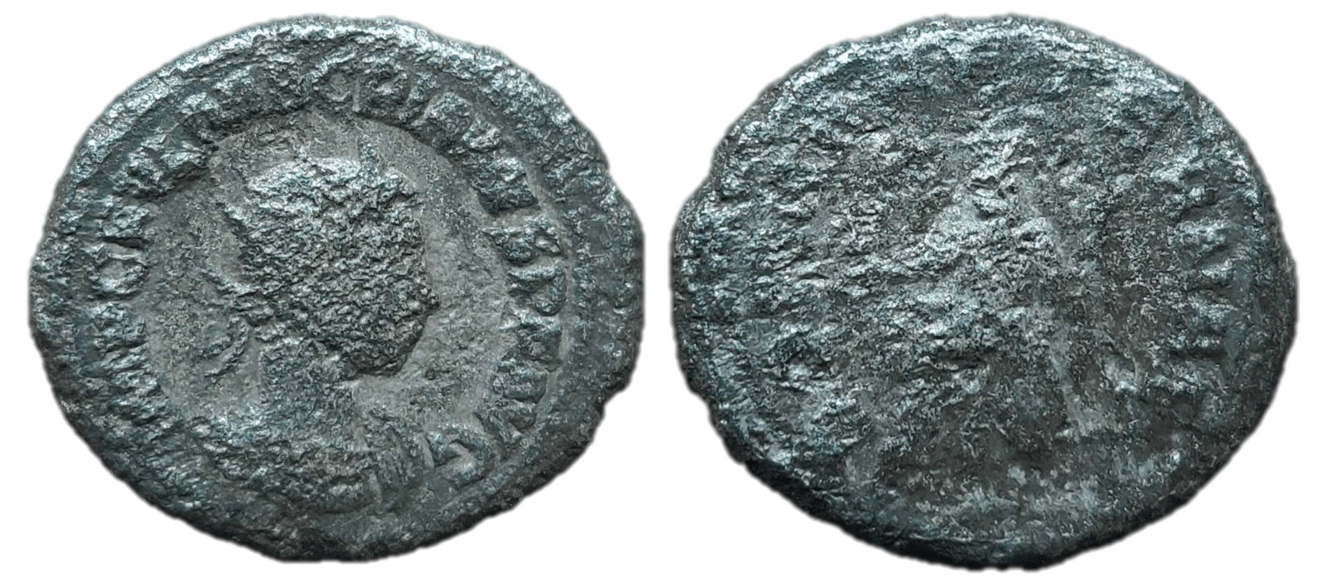 macrianus-min.png