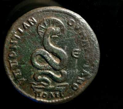 Macrinus 4 REV.jpg