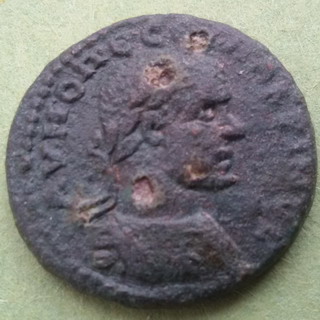 Macrinus A.jpg