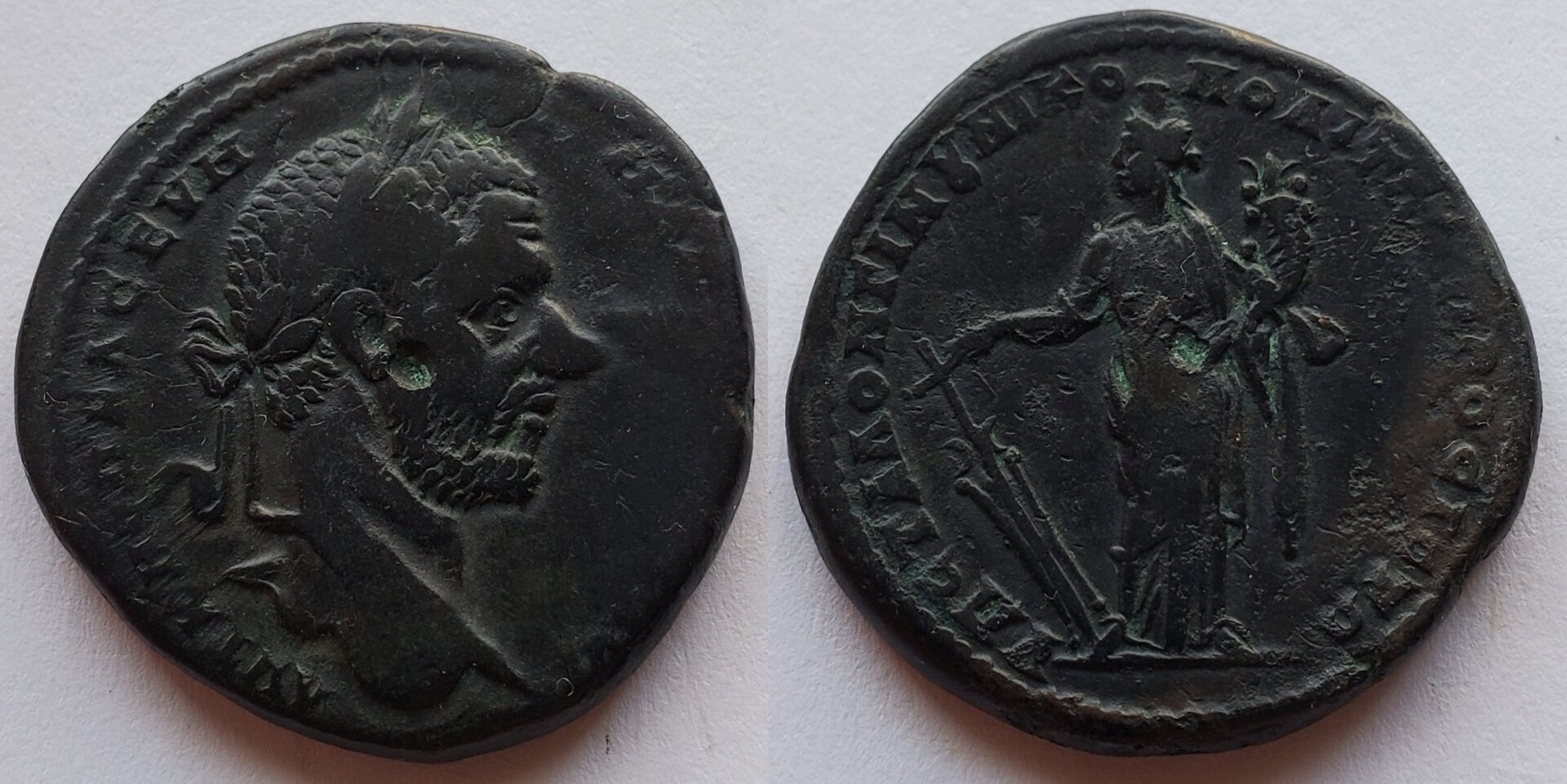 Macrinus AE27 Nikopolis ad Istrum Statilius Longinus Fortuna.jpg
