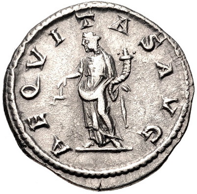 Macrinus b.jpg