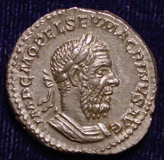 Macrinus Den O.jpg