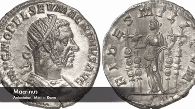 MaCRINUS.gif