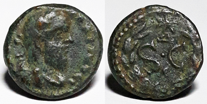 macrinus.jpg