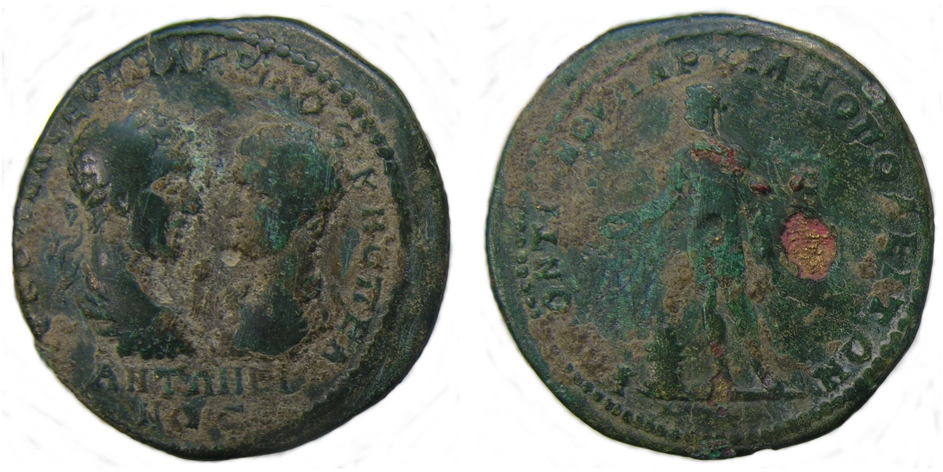 macrinus.jpg
