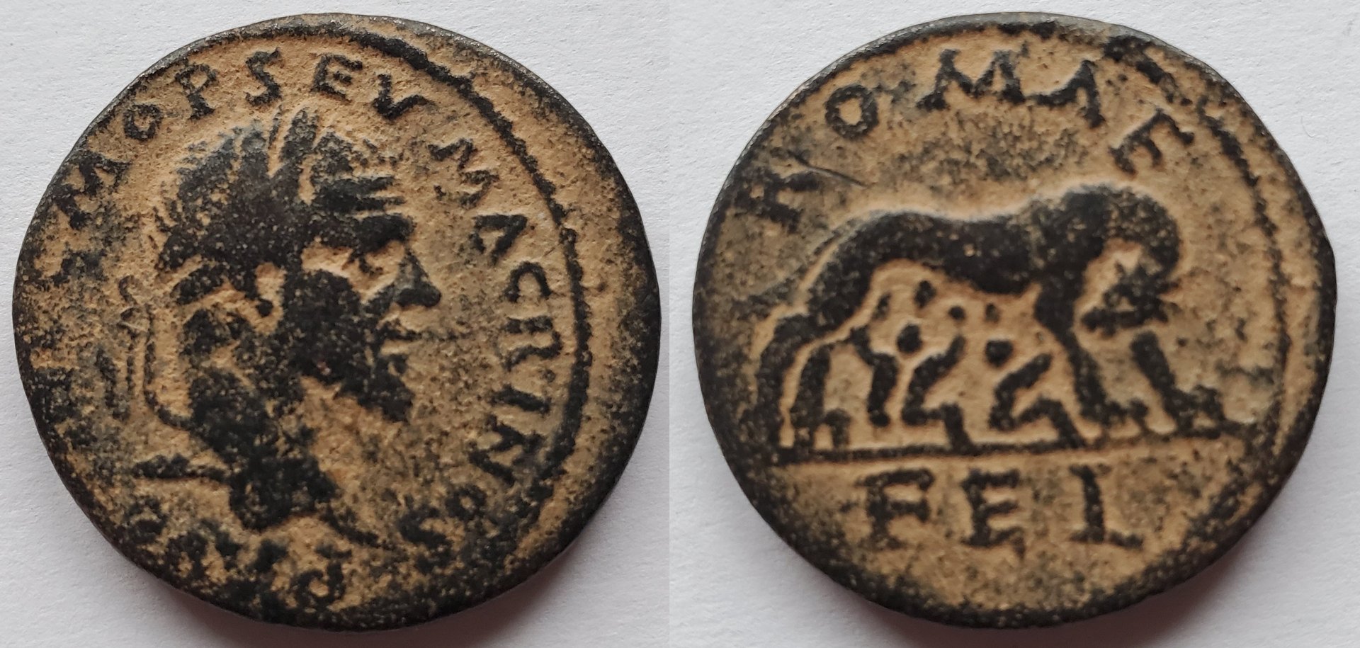 Macrinus Laodicea ad mare wolf twins.jpg