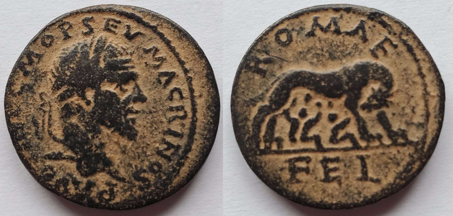 Macrinus Laodicea ad mare wolf twins.jpg