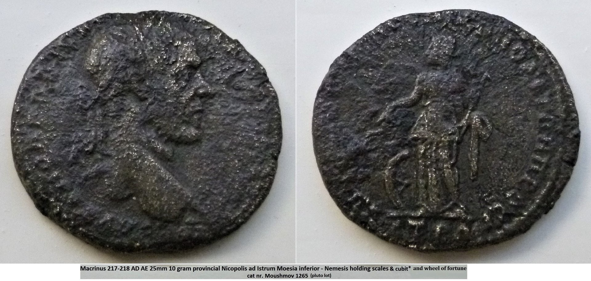 Macrinus Nemesis bb (2).jpg