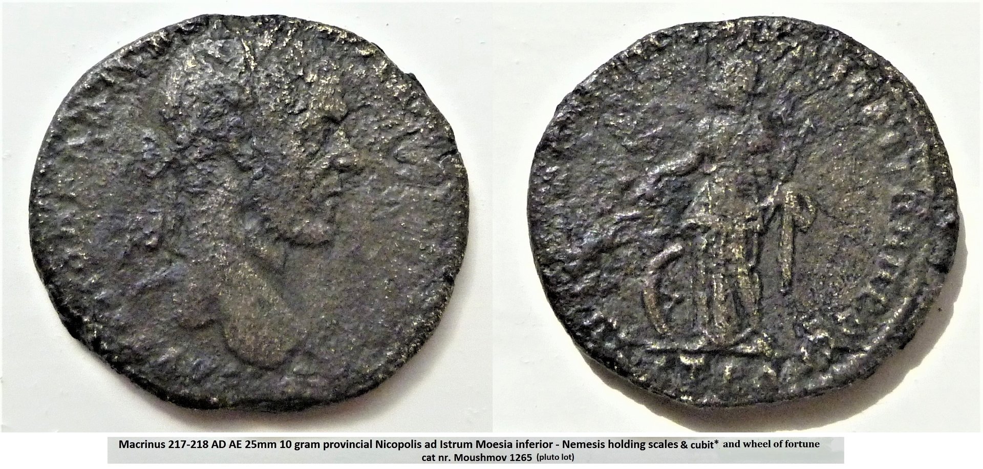 Macrinus Nemesis bb (3).jpg