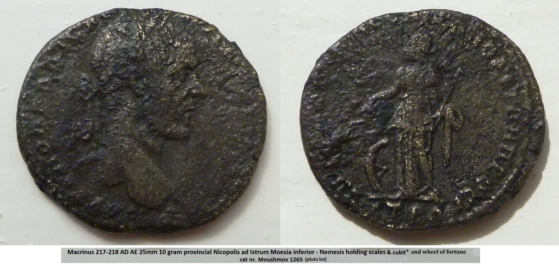 Macrinus Nemesis bb.jpg