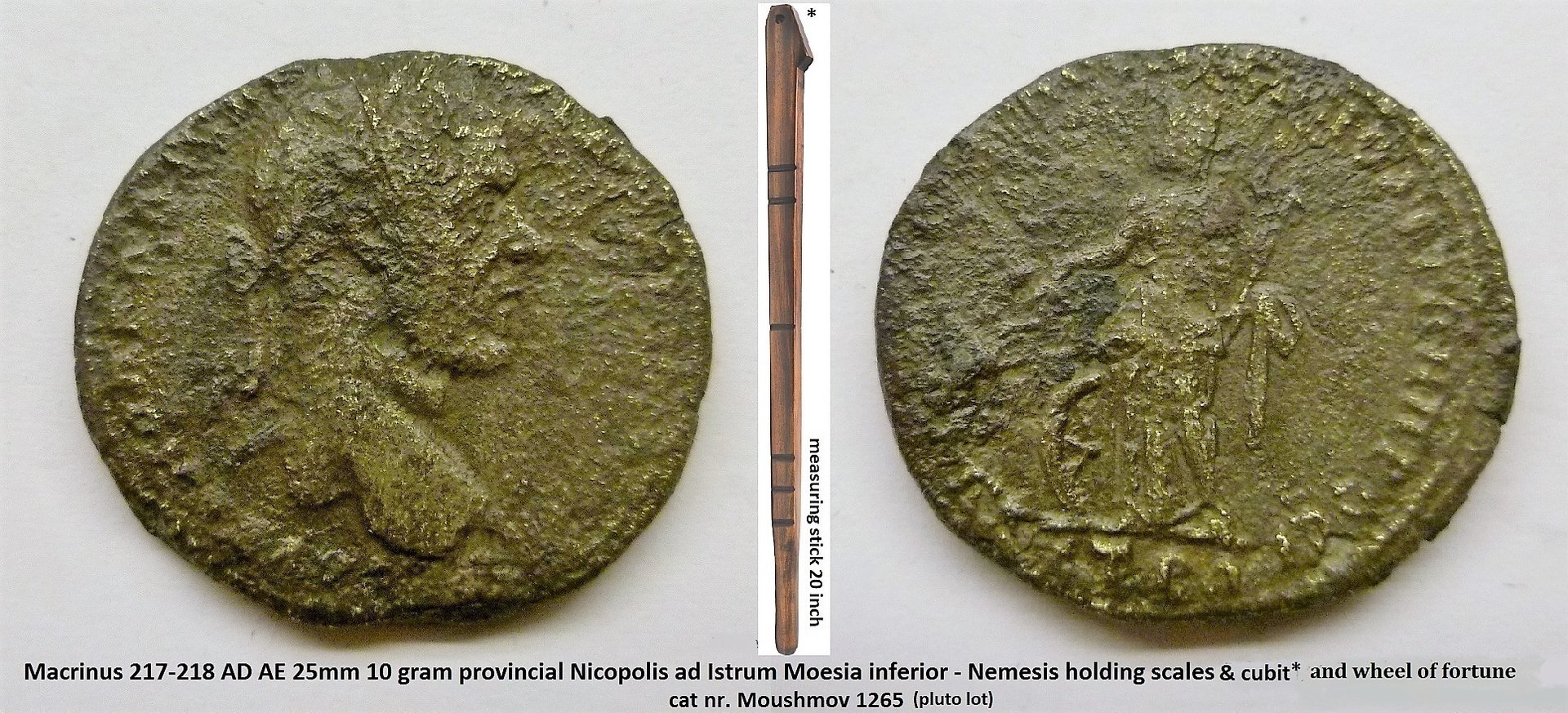 Macrinus Nemesis.jpg