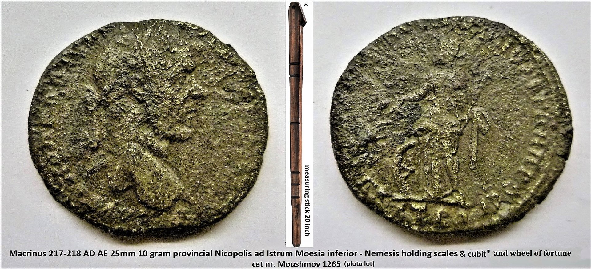 Macrinus Nemesis.jpg