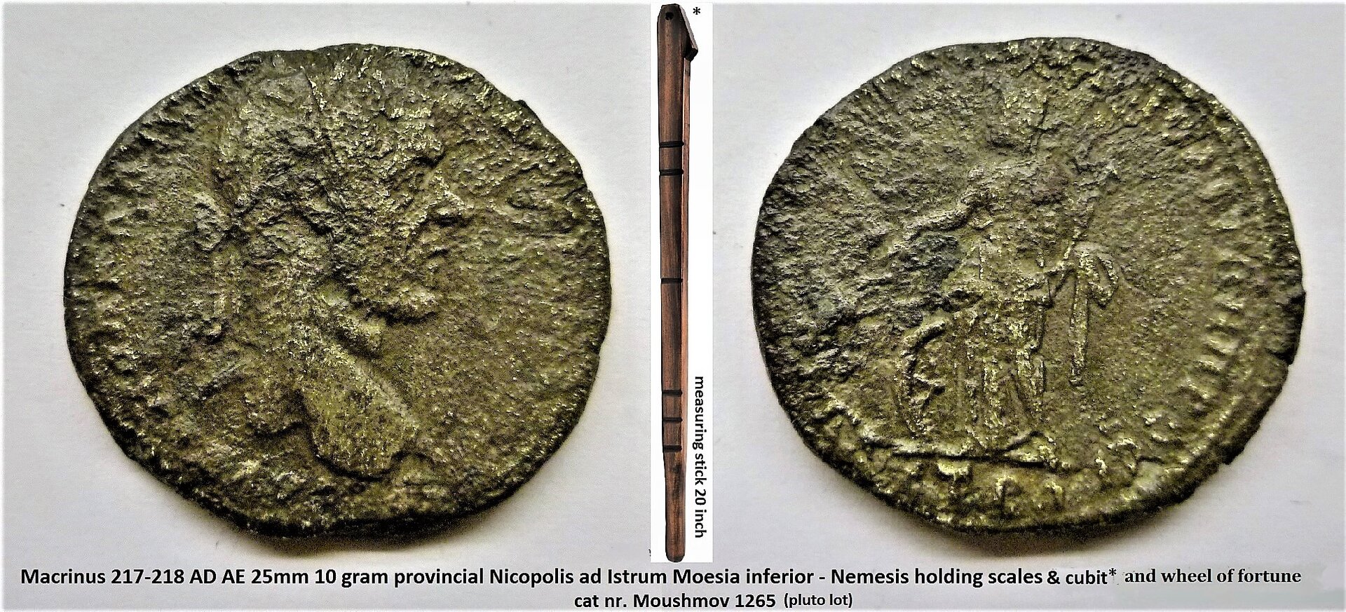 Macrinus Nemesis.jpg