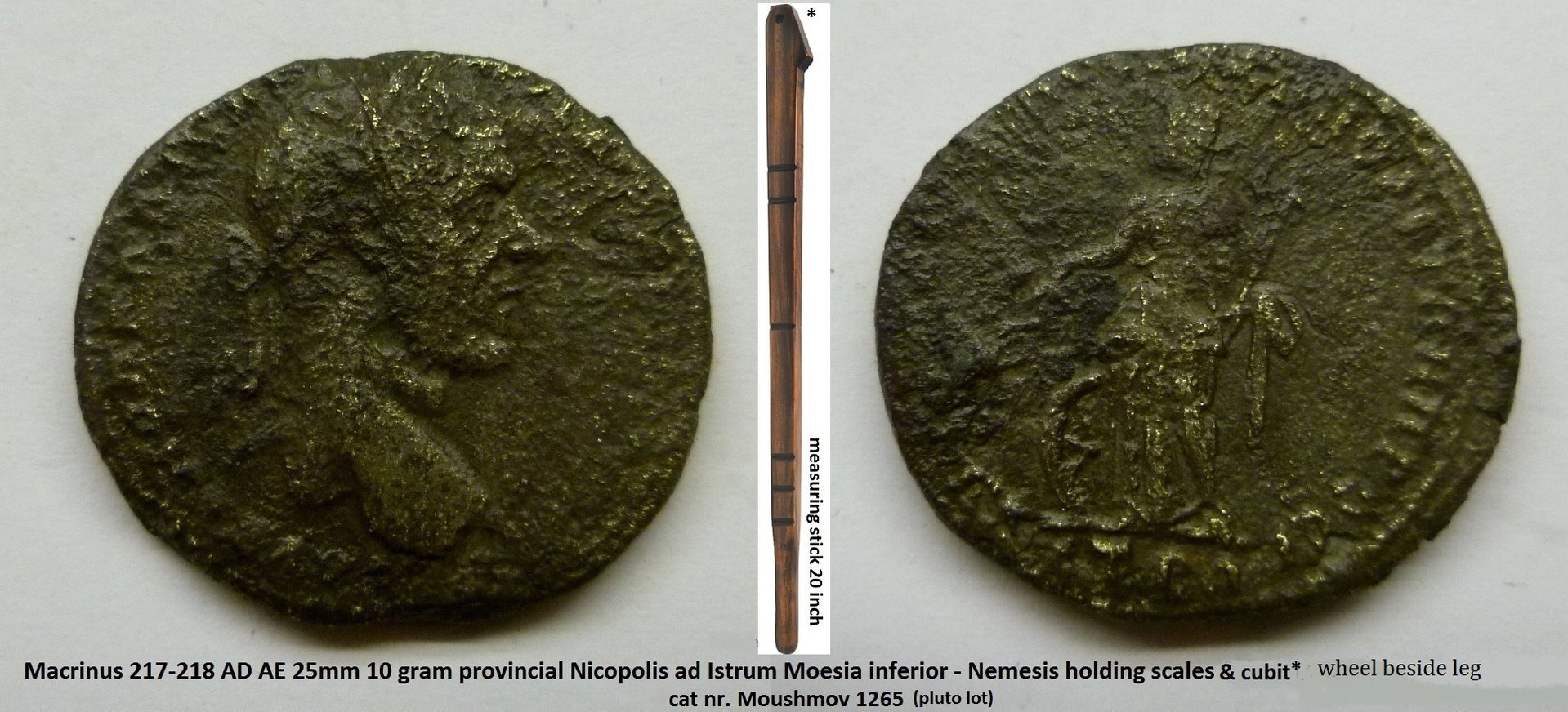 Macrinus Nemesis.jpg