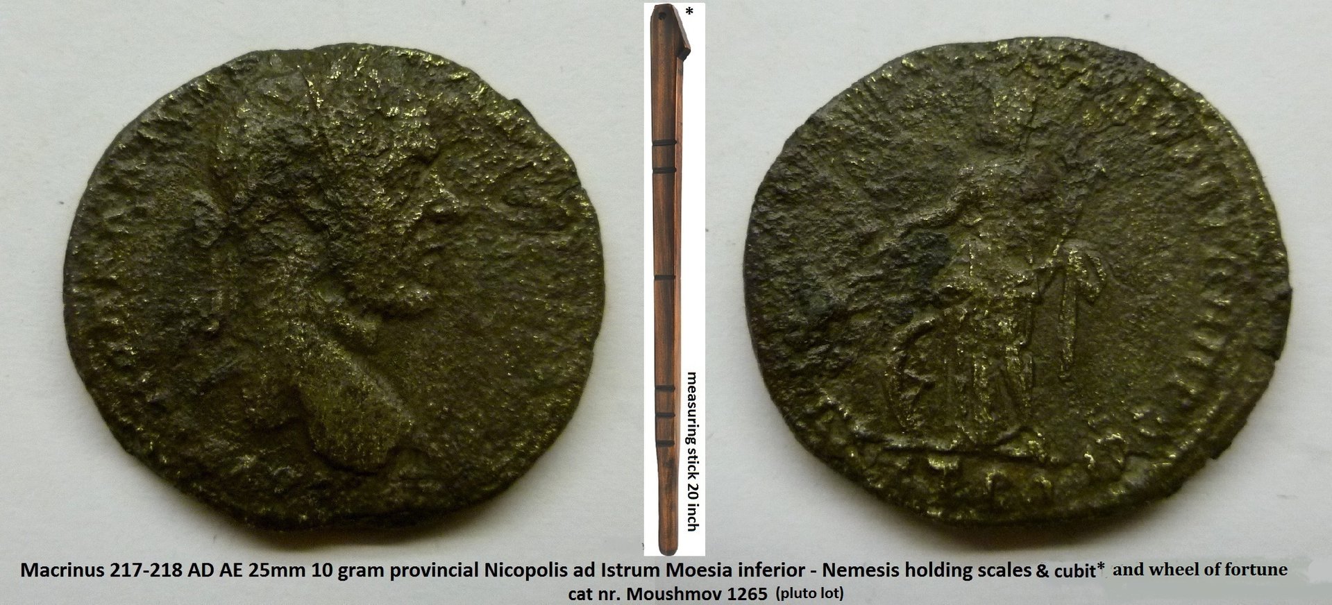 Macrinus Nemesis.jpg